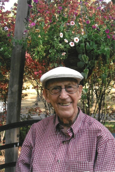 willis arnold