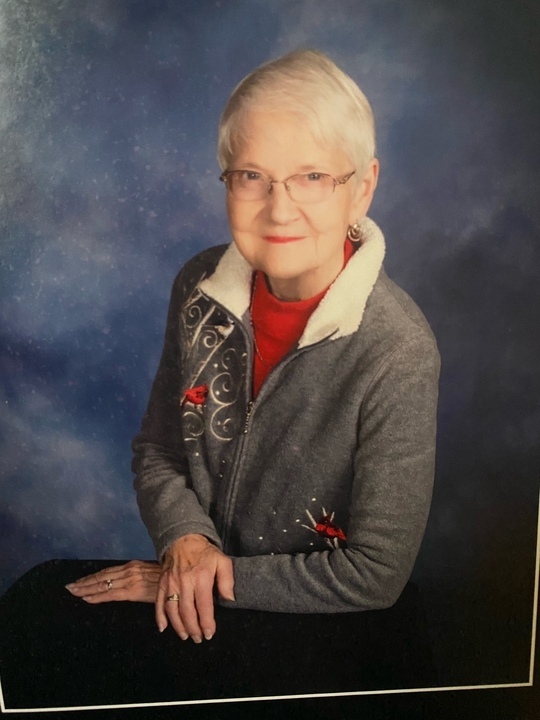 barbara irons