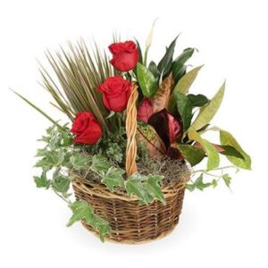Dish Garden with Fresh Flowers