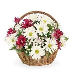 Flower Garden