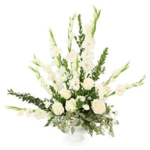 Dignity in White